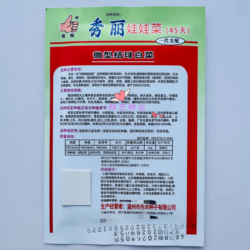 首指秀丽娃娃菜种子生长快速超矮微型结球白菜容易种