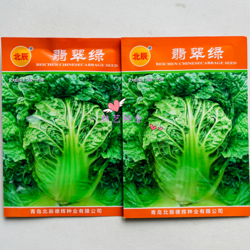 翡翠绿大白菜种子农家菜园秋播青杆皱叶结球丰产白菜籽蔬