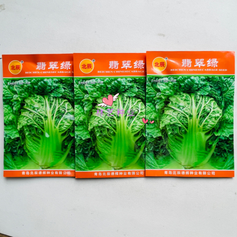 翡翠绿大白菜种子农家菜园秋播青杆皱叶结球丰产白菜籽蔬
