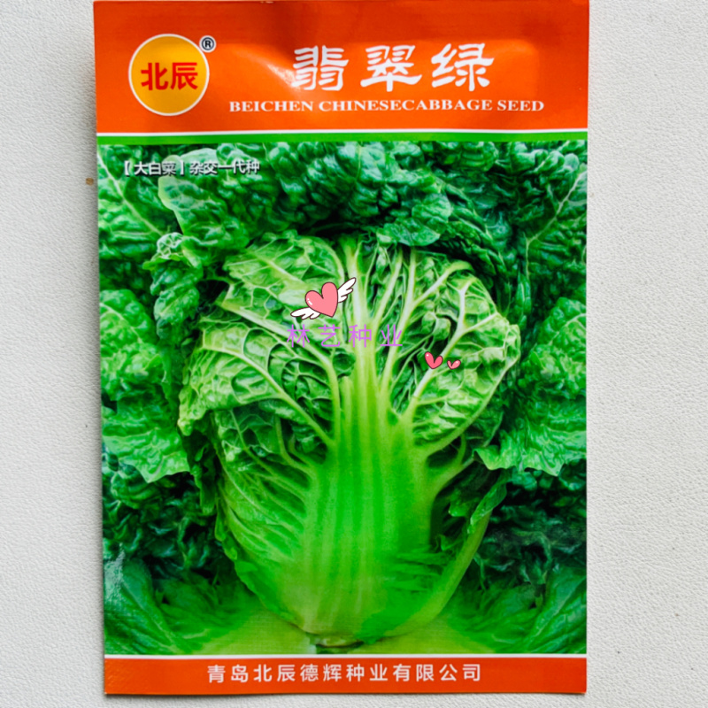 翡翠绿大白菜种子农家菜园秋播青杆皱叶结球丰产白菜籽蔬