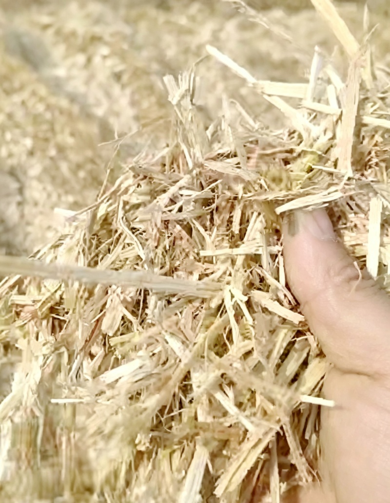 麦秸秆