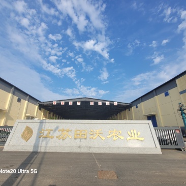 江苏盱眙金香玉优质粳稻，出米70%，干谷整车自提。
