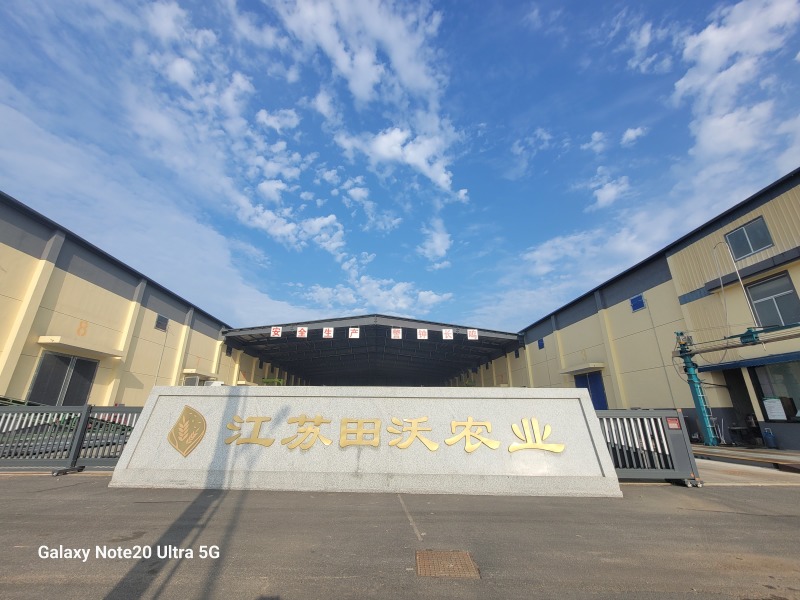 江苏盱眙金香玉优质粳稻，出米70%，干谷整车自提。