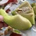 17度绿肉哈密瓜、