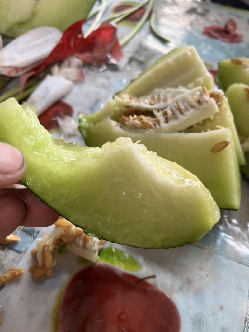 17度绿肉哈密瓜、