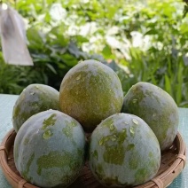 桃李