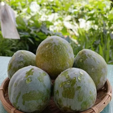 桃李