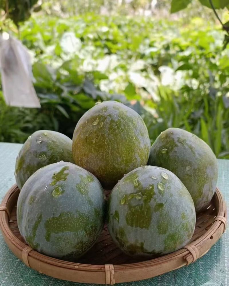 桃李