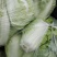 鸡腿白菜