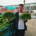 生菜