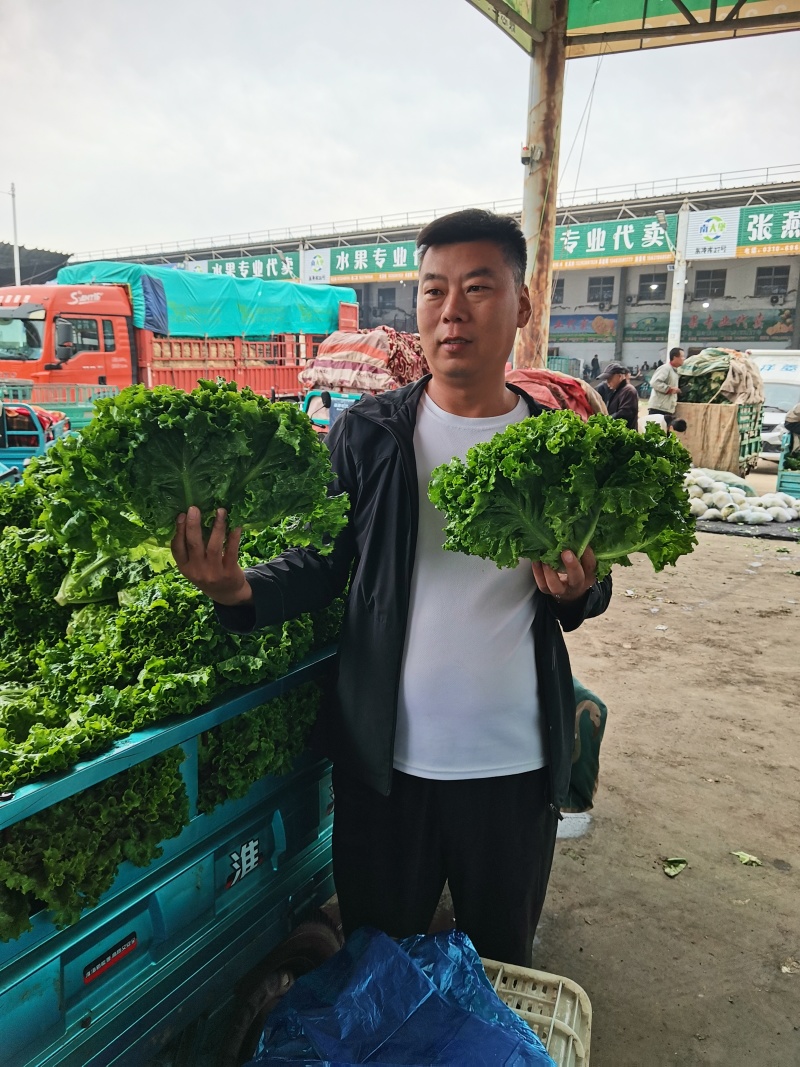 生菜