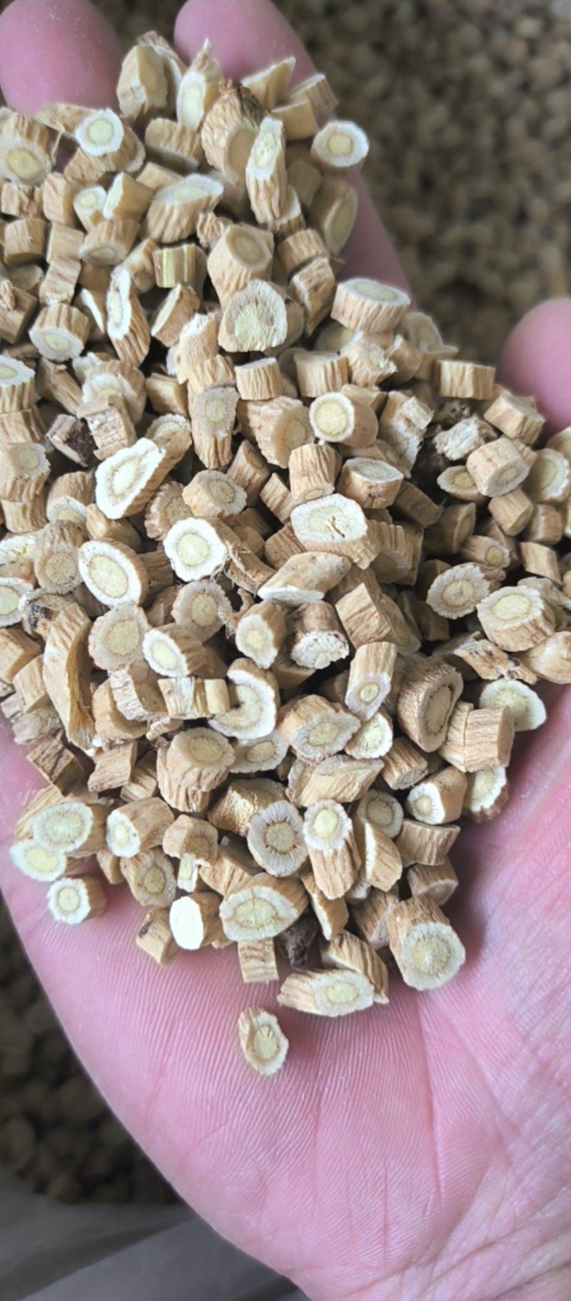 黄芪圆片黄芪药用兽用批发各种中药材质量保证
