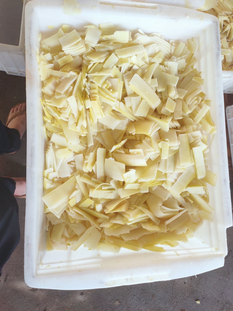 福建麻笋，黄丝，黄片，黄筒，竹笋系列，品质保证，诚信合作