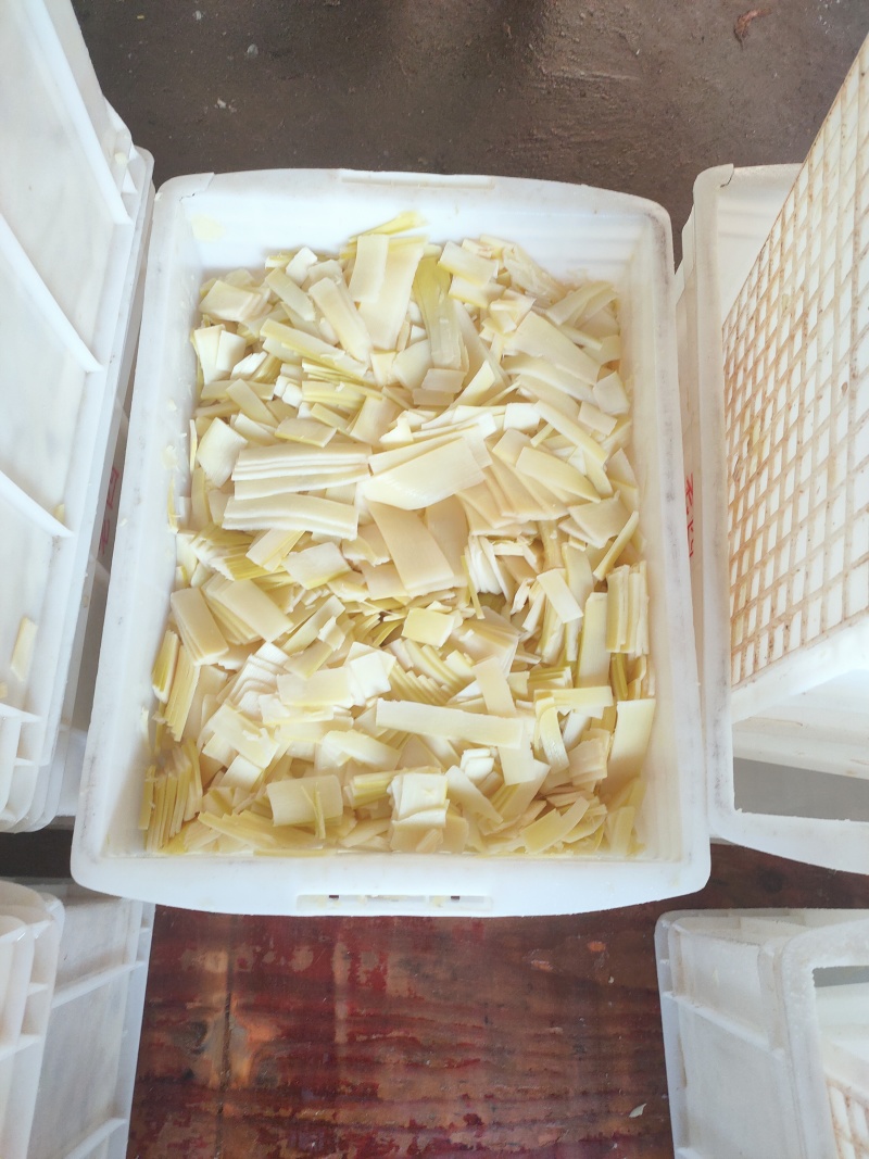 福建麻笋，黄丝，黄片，黄筒，竹笋系列，品质保证，诚信合作