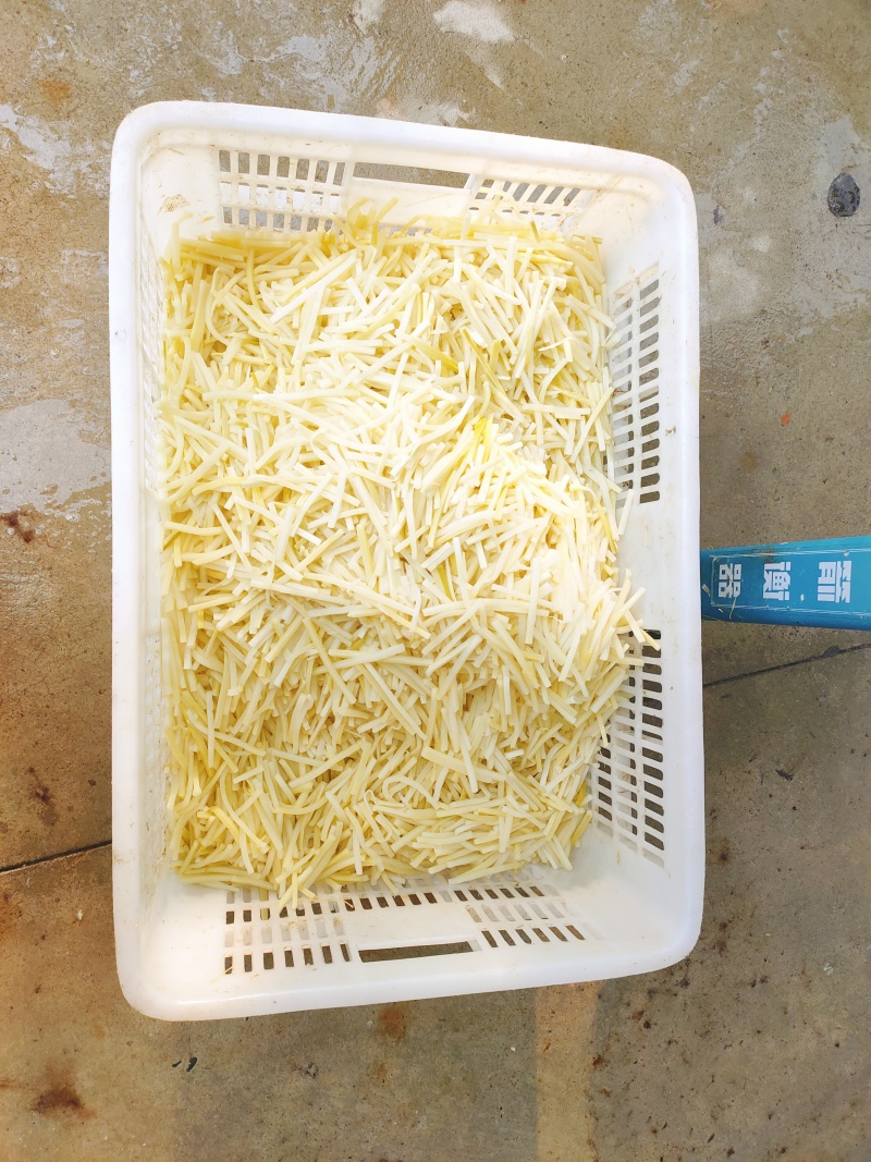 福建麻笋，黄丝，黄片，黄筒，竹笋系列，品质保证，诚信合作