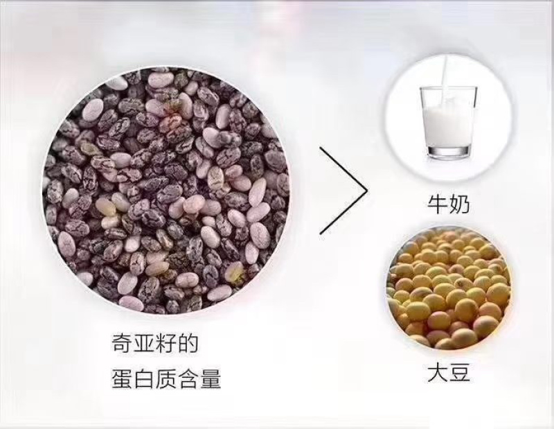 灭菌灭活奇亚籽