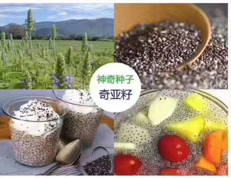 灭菌灭活奇亚籽