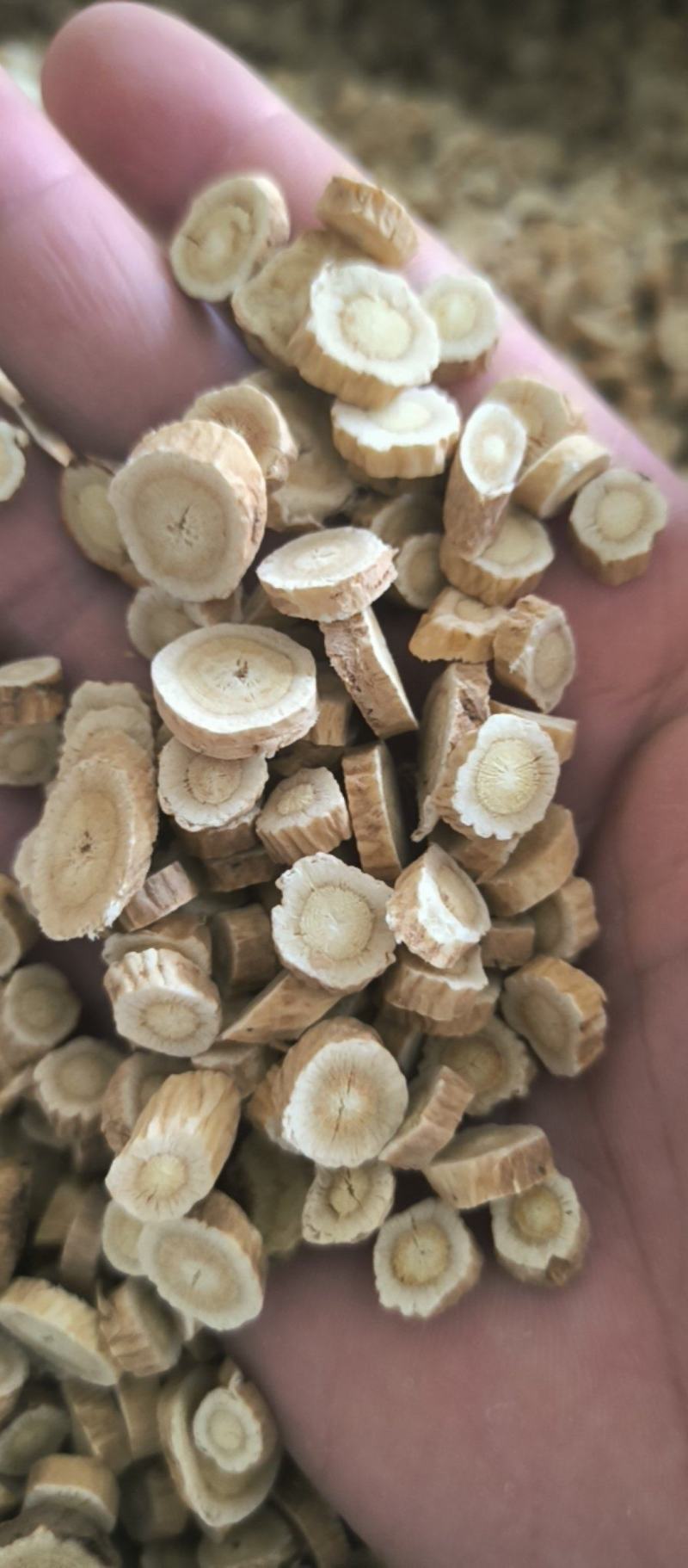 黄芪圆片黄芪药用兽用批发各种中药材质量保证