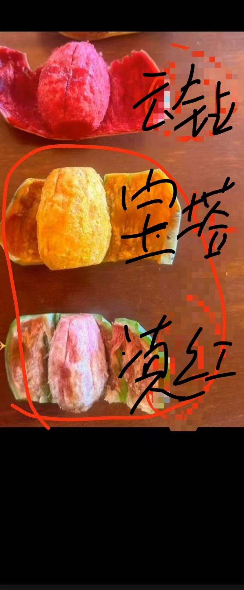 仙人掌果