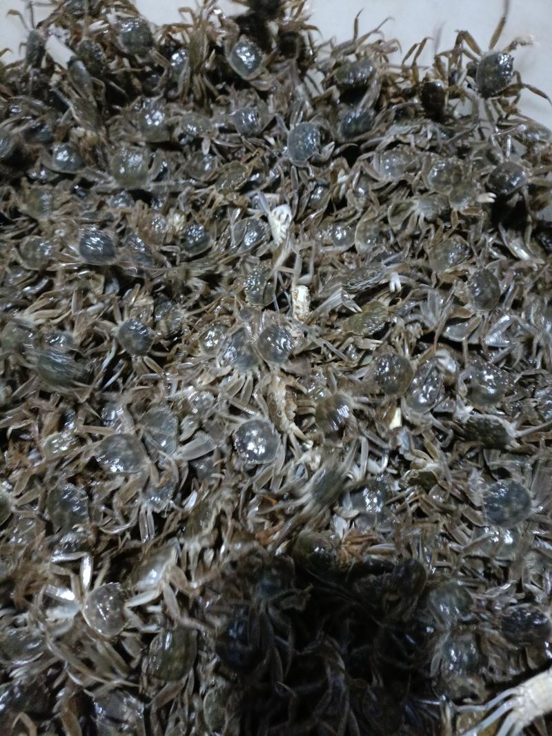 小螃蟹油炸小螃蟹香辣蟹烧烤串串一斤50头左右毛蟹