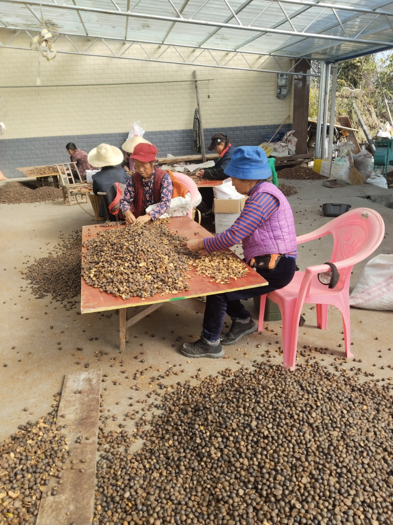 自有基地加工销售批量价格优惠支持一件5升起发