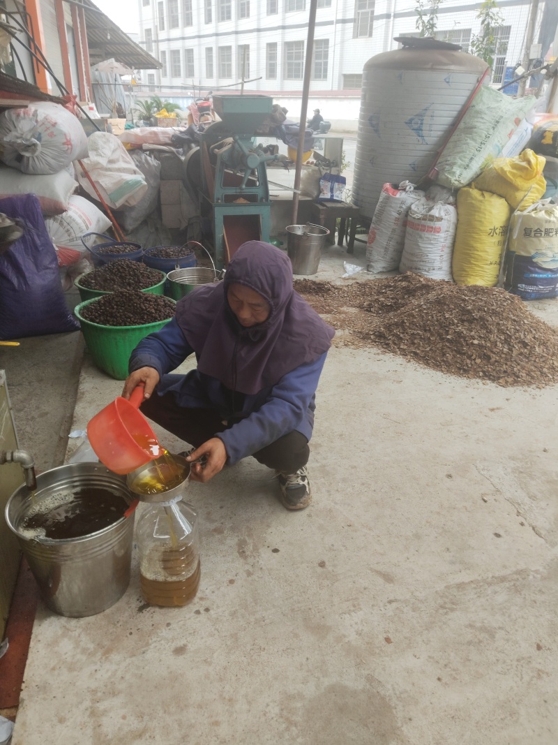 自有基地加工销售批量价格优惠支持一件5升起发