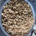 甜杏仁