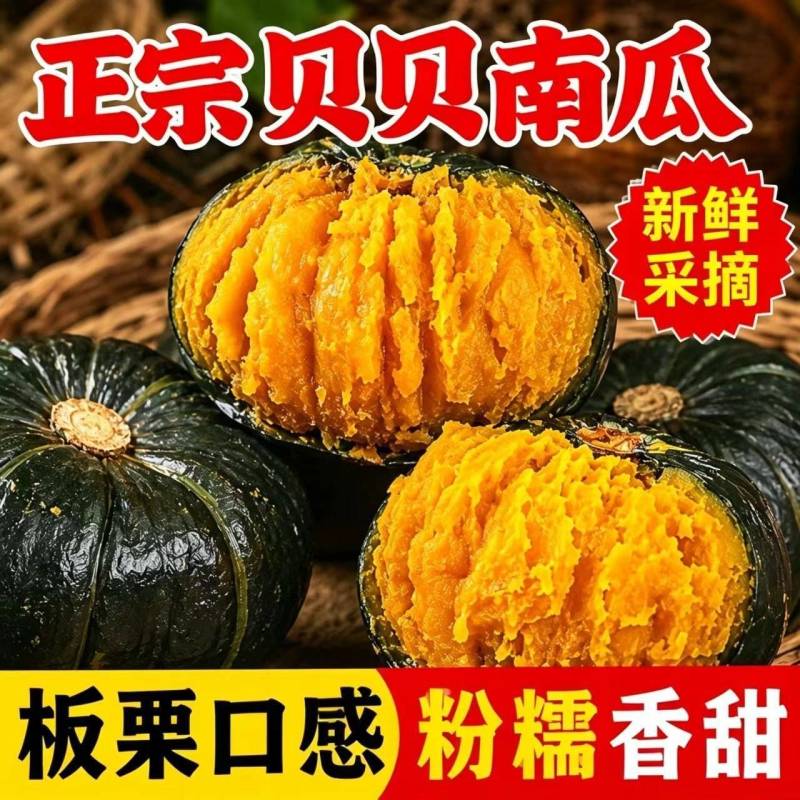 正宗贝贝南瓜新鲜板栗味小南瓜栗面产地..