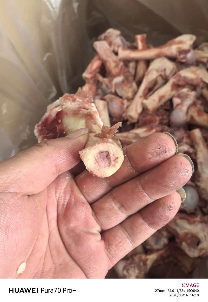 羊棒骨