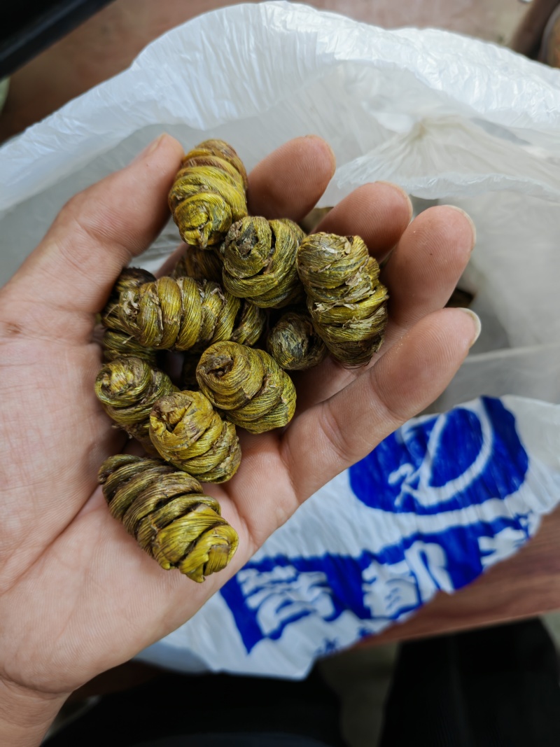 铁皮枫斗大颗粒一斤也包邮