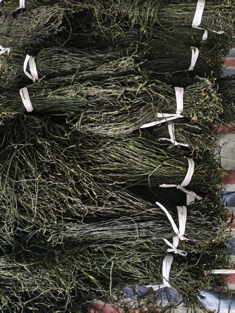 干豆角新货供货大量有货对接火锅店餐饮店商超全国可发货