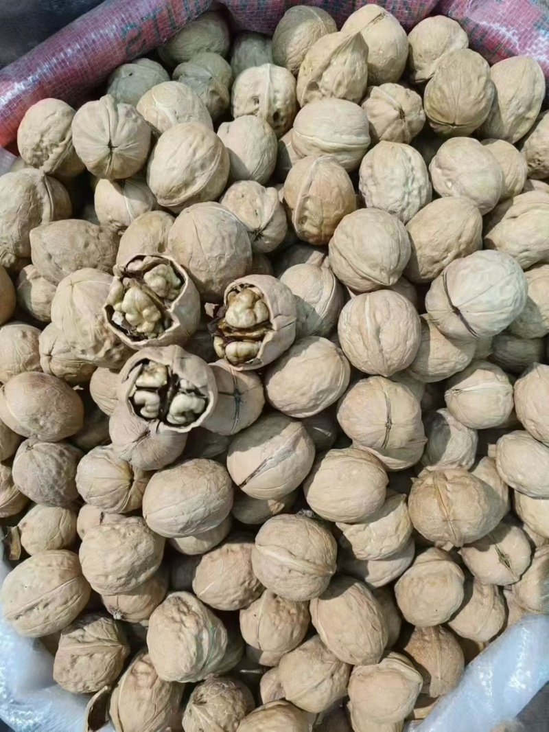 青皮核桃，去青皮核桃，干核桃电商一件代发