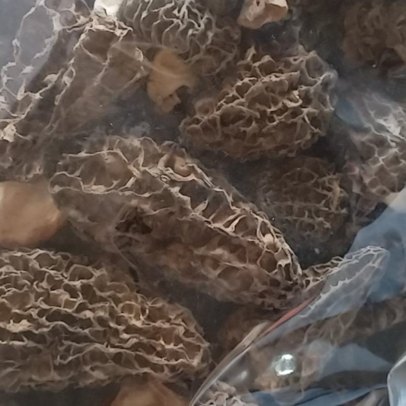 羊肚菌干货