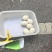 自家散养鹅蛋