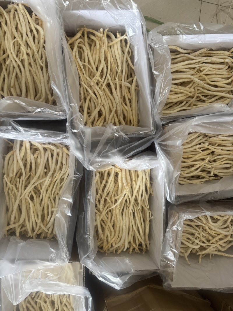 物美价廉值得采购