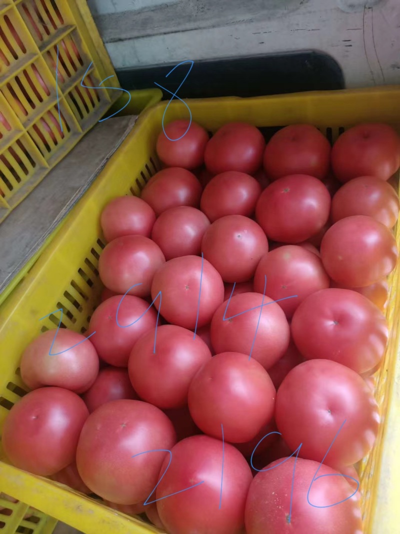 产地蔬菜