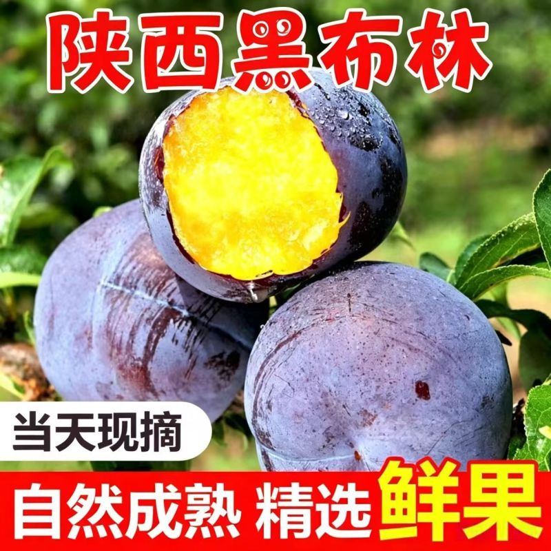陕西黑布林李子对接各大电商平台一件代发社区团购美团