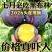 陕西黑布林李子对接各大电商平台一件代发社区团购美团