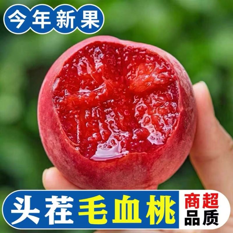 中华血桃中桃25电商一件代发有量有价