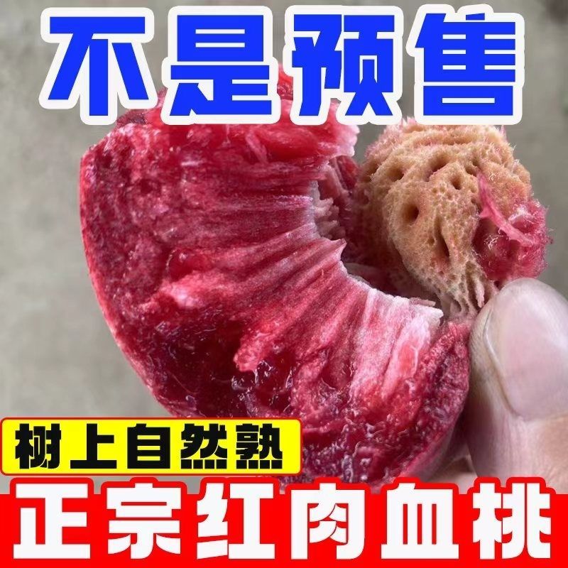 中华血桃中桃25电商一件代发有量有价