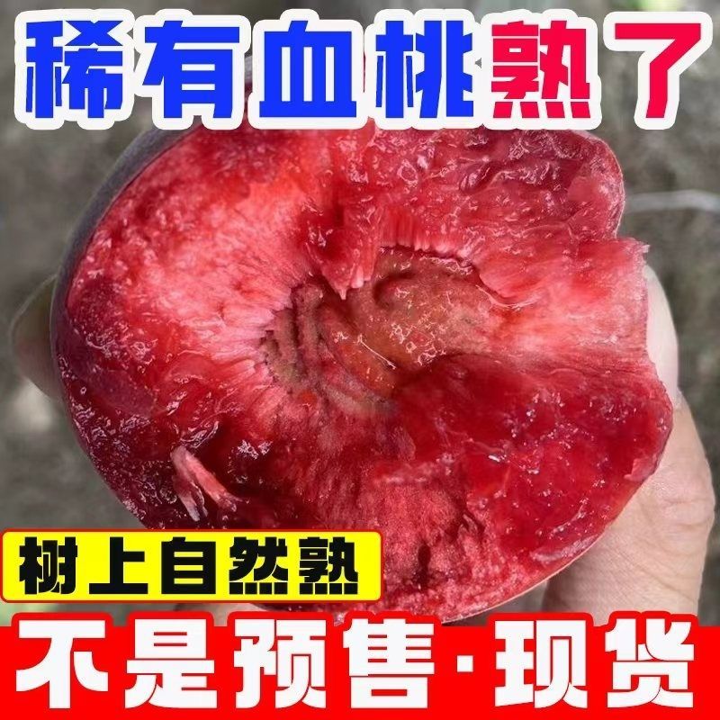 中华血桃中桃25电商一件代发有量有价