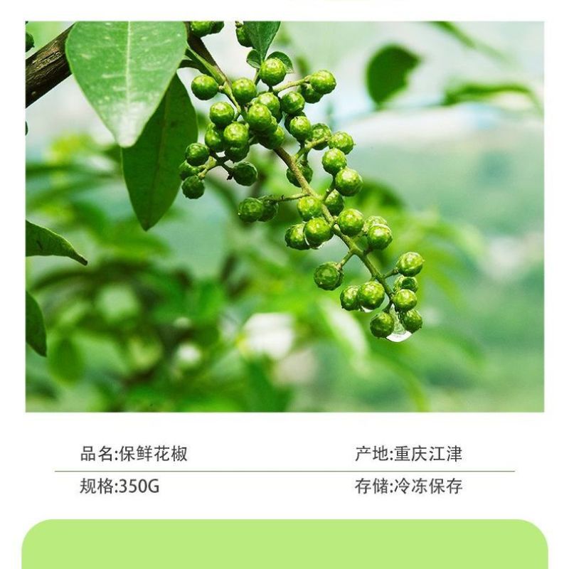 保鲜青花椒
