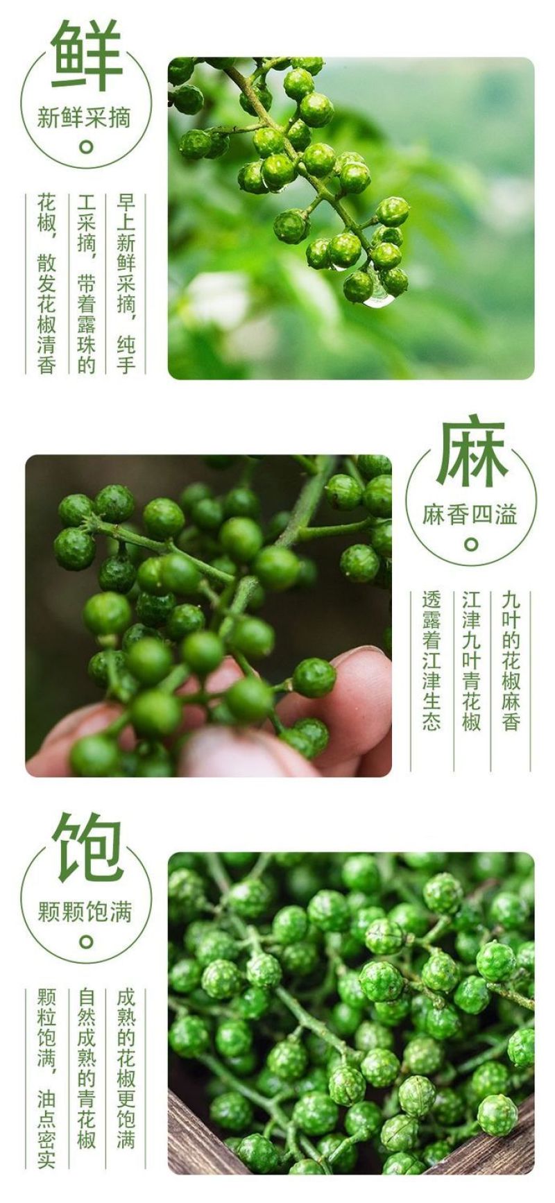 保鲜青花椒