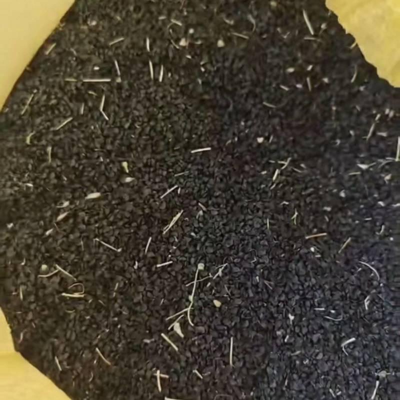 长白葱籽