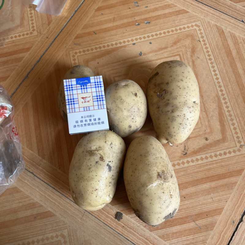 沃土系列刘平一土豆