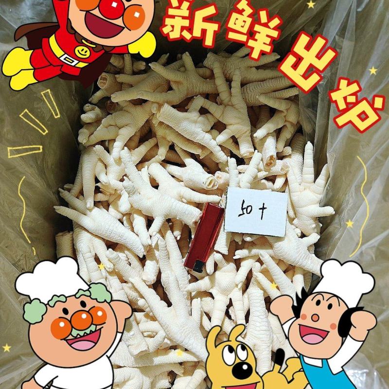 精品优质凤爪基地直供一手货源大量上市品质保证诚信经营