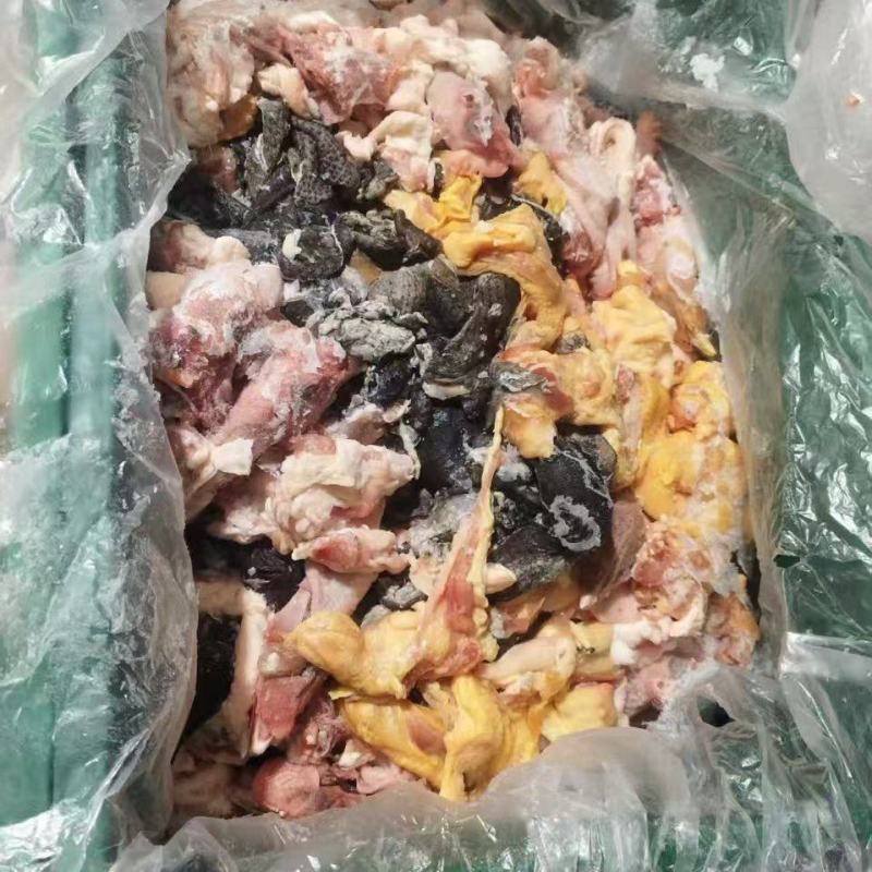 废鸡下脚料