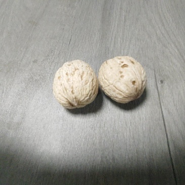 鲜核桃大量现货，承接各大平台一件代发，欢迎实地考察。