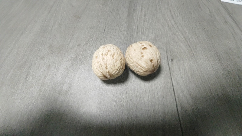鲜核桃大量现货，承接各大平台一件代发，欢迎实地考察。
