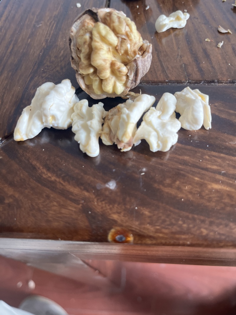 鲜核桃大量现货，承接各大平台一件代发，欢迎实地考察。